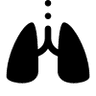 Anatomy icon