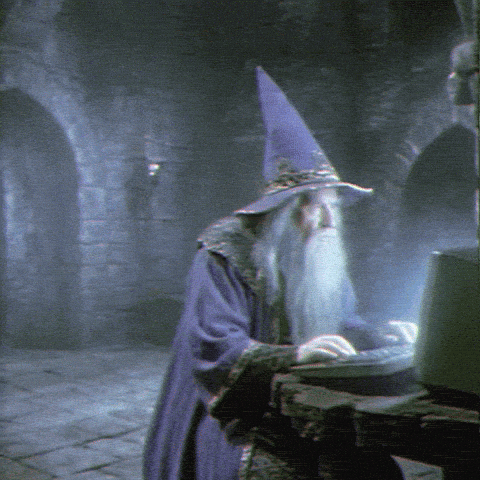 Wizard at a computer monitoring systems
